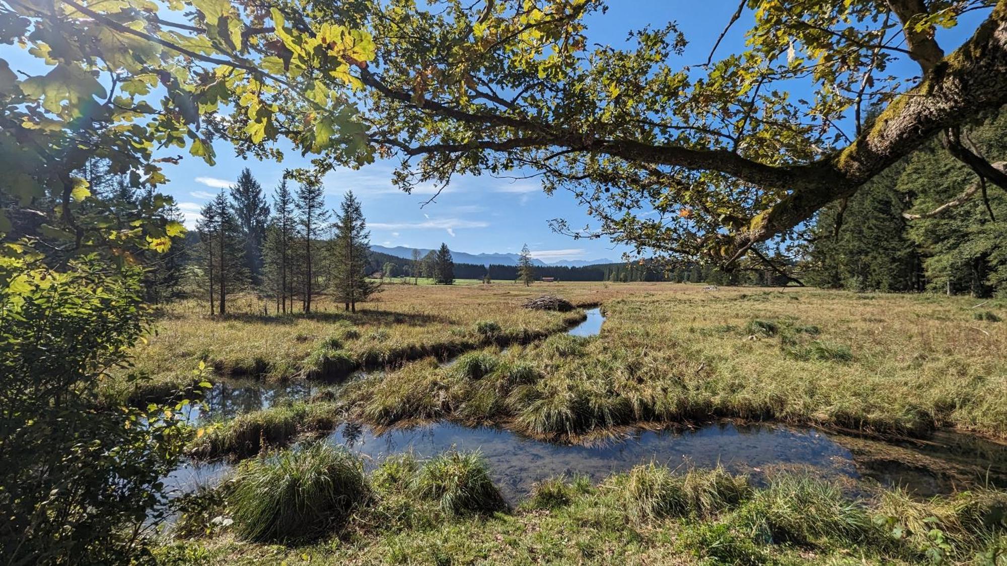Liboria I Traumhafte Ferienwohnung In Aidling Am Riegsee Mit Atemberaubendem Panoramablick! 외부 사진
